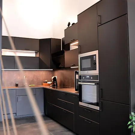 Loft Industriel Dans Ancienne Grange Holiday home