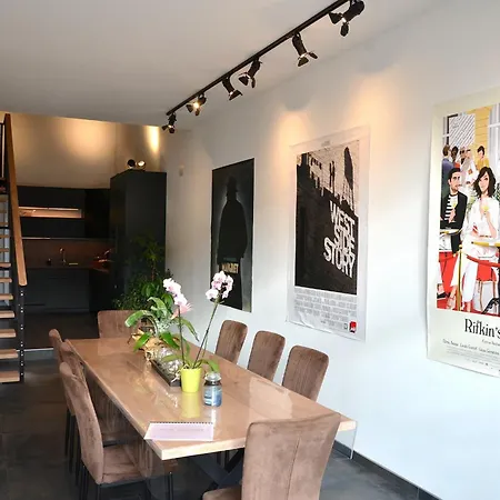 Loft Industriel Dans Ancienne Grange Ferienhaus *